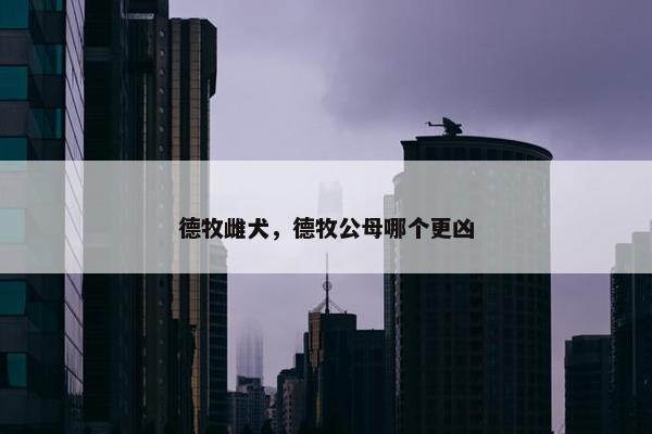 德牧雌犬,德牧公母哪个更凶