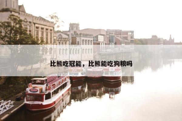 比熊吃冠能，比熊能吃狗粮吗
