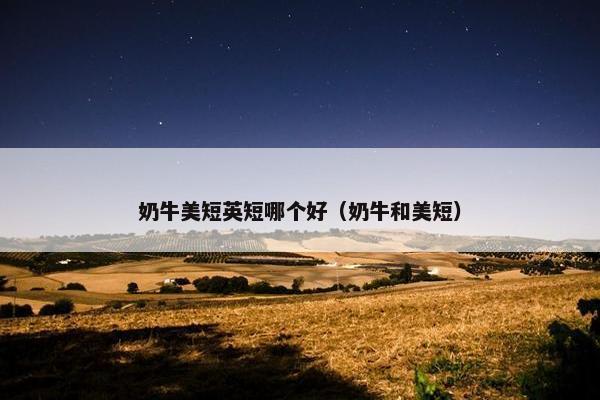 奶牛美短英短哪个好（奶牛和美短）