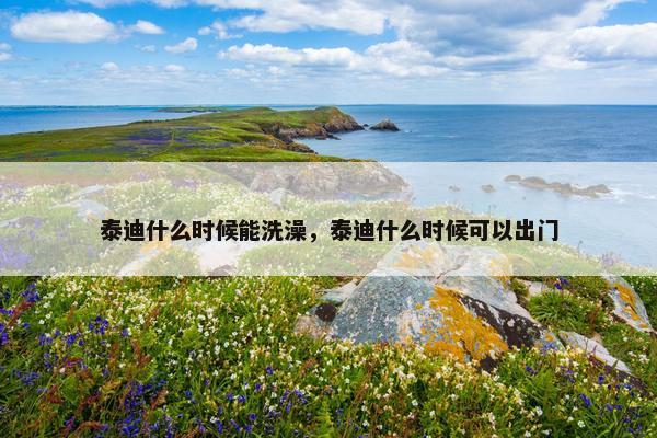 泰迪什么时候能洗澡，泰迪什么时候可以出门