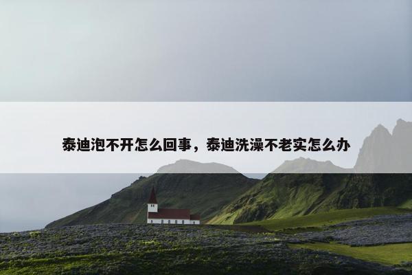 冲泡