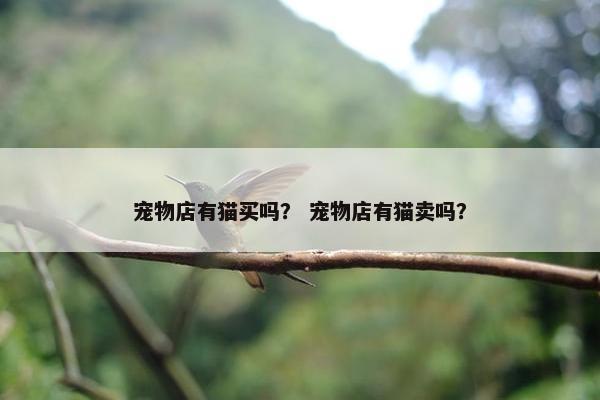 宠物店有猫买吗？ 宠物店有猫卖吗？