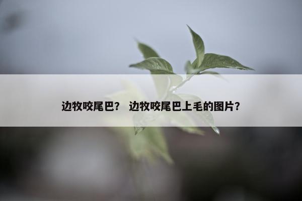 尾巴 第4页