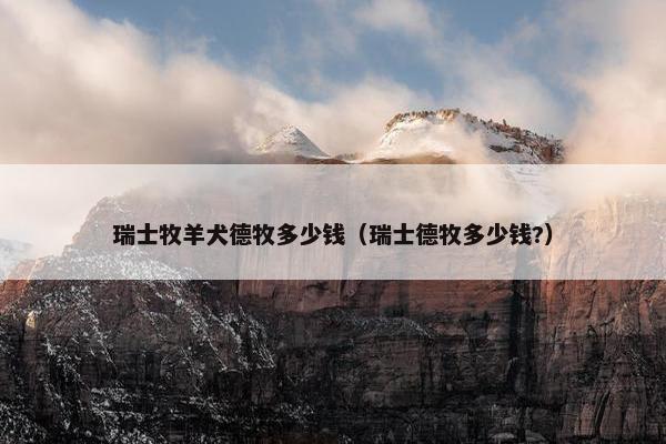 瑞士牧羊犬德牧多少钱(瑞士德牧多少钱?)