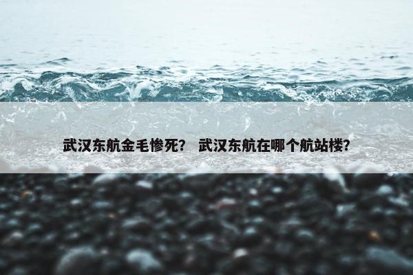 武汉东航金毛惨死？ 武汉东航在哪个航站楼？