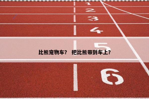比熊宠物车？ 把比熊带到车上？