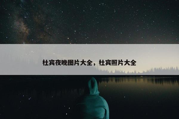 杜宾夜晚图片大全,杜宾照片大全
