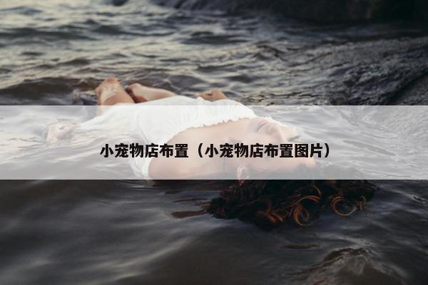 小宠物店布置（小宠物店布置图片）