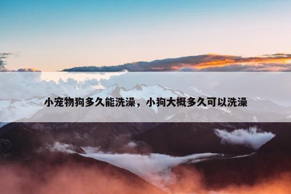 小宠物狗多久能洗澡，小狗大概多久可以洗澡