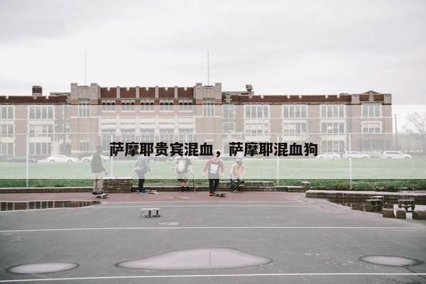 突变