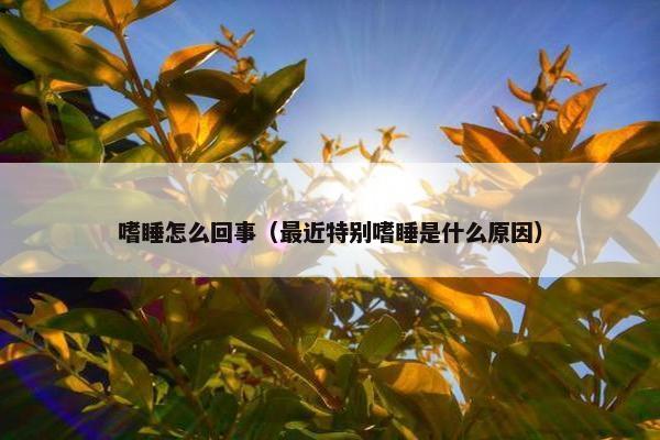 嗜睡怎么回事（最近特别嗜睡是什么原因）