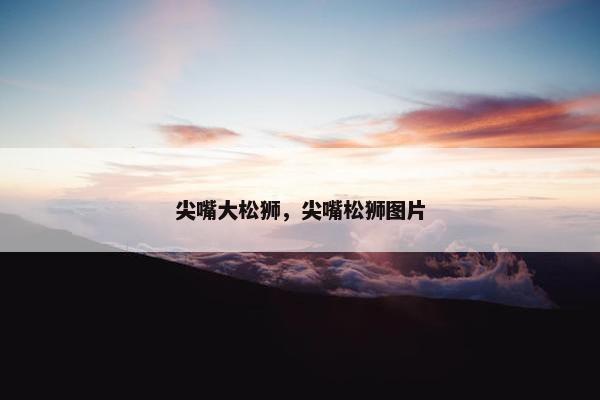 嘴巴
