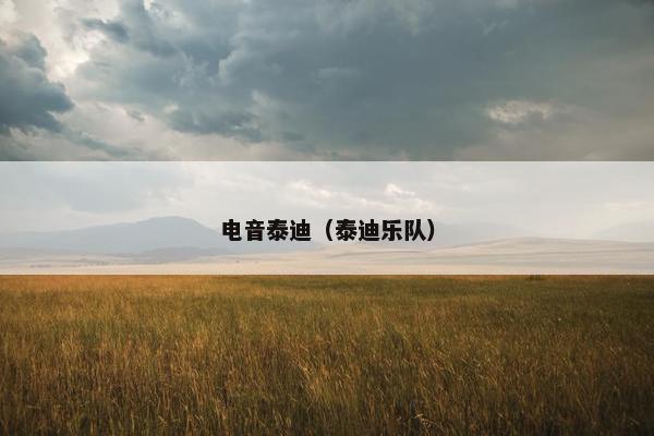 电音泰迪（泰迪乐队）
