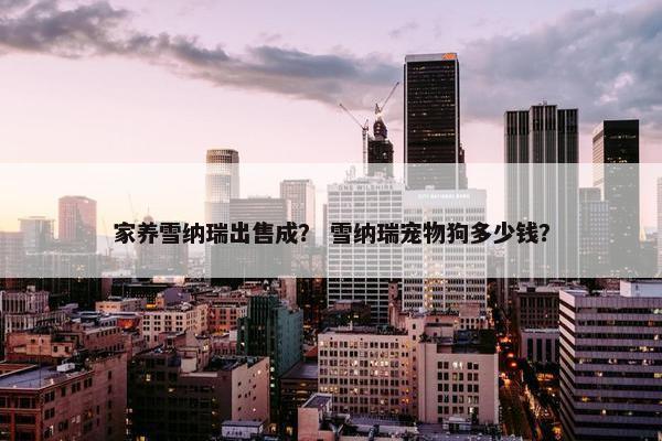 家养雪纳瑞出售成？ 雪纳瑞宠物狗多少钱？
