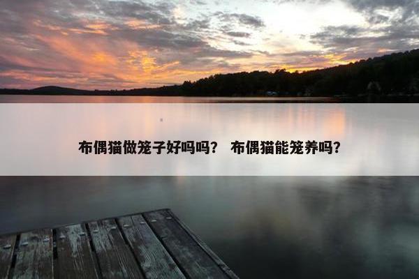 布偶猫做笼子好吗吗？ 布偶猫能笼养吗？