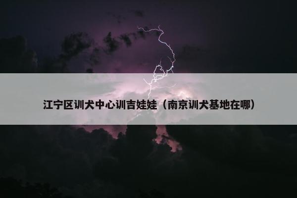 江宁区训犬中心训吉娃娃（南京训犬基地在哪）