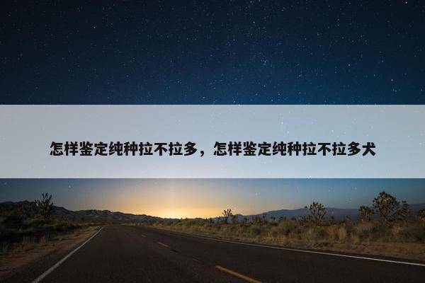 怎样鉴定纯种拉不拉多，怎样鉴定纯种拉不拉多犬