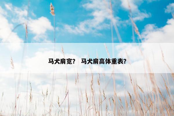 马犬肩宽？ 马犬肩高体重表？