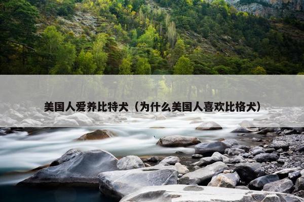 美国人爱养比特犬（为什么美国人喜欢比格犬）