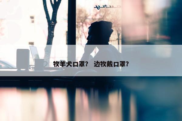 牧羊犬口罩? 边牧戴口罩?