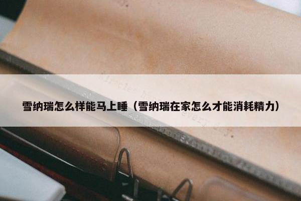 雪纳瑞怎么样能马上睡（雪纳瑞在家怎么才能消耗精力）