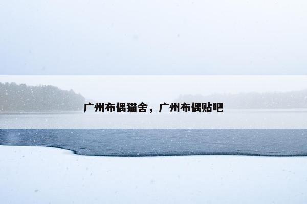 布偶猫 第13页