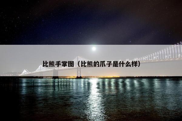 比熊手掌图(比熊的爪子是什么样)
