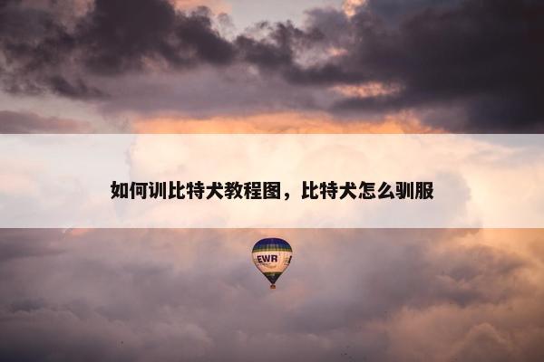 如何训比特犬教程图,比特犬怎么驯服