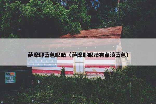 萨摩耶蓝色眼睛（萨摩耶眼睛有点淡蓝色）
