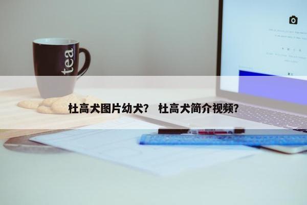 杜高犬图片幼犬？ 杜高犬简介视频？