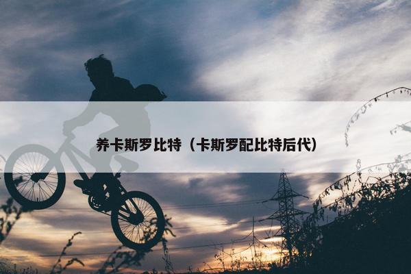 养卡斯罗比特(卡斯罗配比特后代)