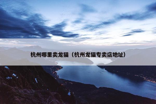 杭州哪里卖龙猫(杭州龙猫专卖店地址)