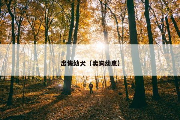 出售