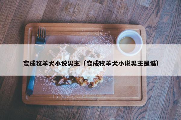 威尔
