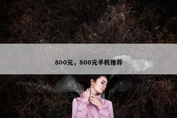 800元，800元手机推荐