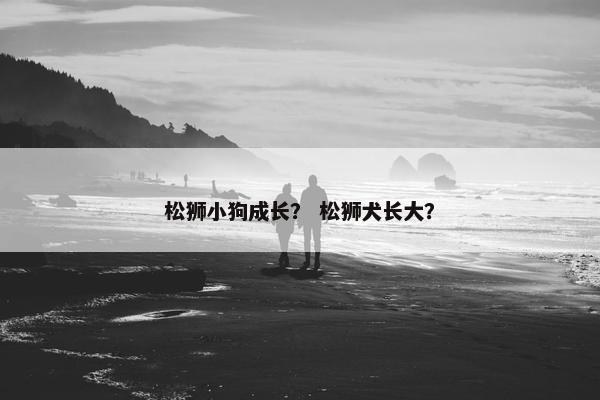 松狮 第8页