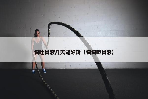 狗吐胃液几天能好转（狗狗呕胃液）