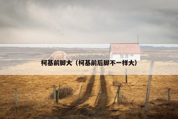 柯基前脚大（柯基前后脚不一样大）