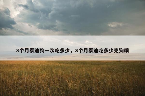3个月泰迪狗一次吃多少，3个月泰迪吃多少克狗粮