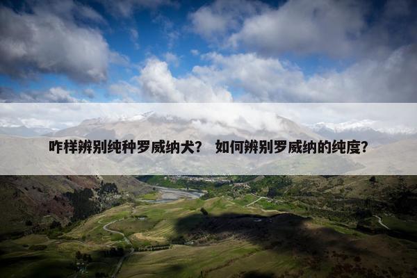威纳 第12页