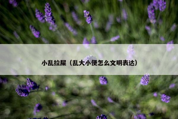小乱拉屎（乱大小便怎么文明表达）