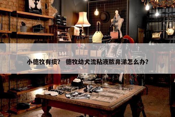 小德牧有痰？ 德牧幼犬流粘液脓鼻涕怎么办？