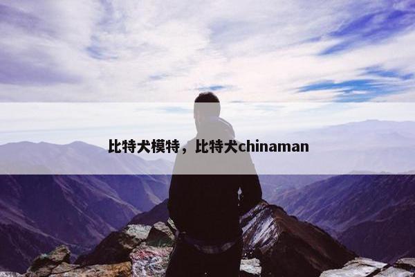 比特犬模特，比特犬chinaman