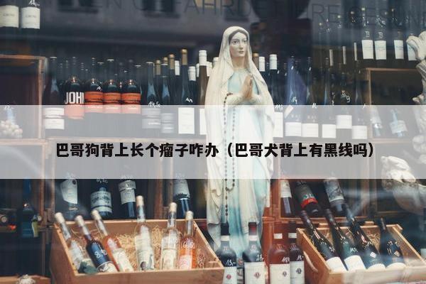 巴哥狗背上长个瘤子咋办（巴哥犬背上有黑线吗）