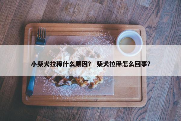 小柴犬拉稀什么原因？ 柴犬拉稀怎么回事？