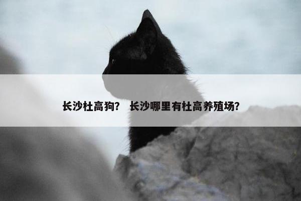 长沙市