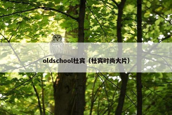 oldschool杜宾（杜宾时尚大片）