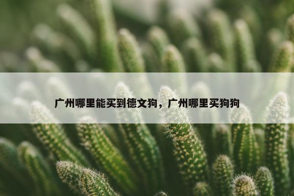 文卷