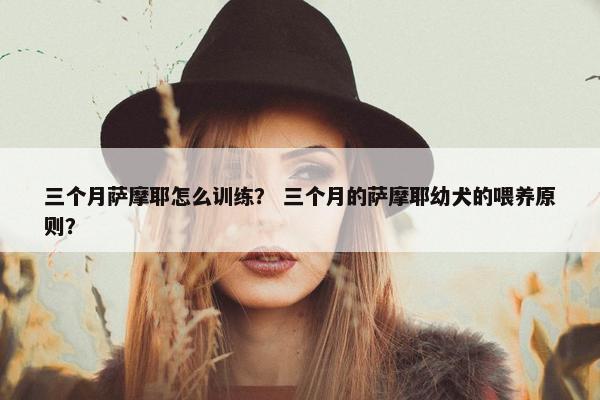 三个月萨摩耶怎么训练？ 三个月的萨摩耶幼犬的喂养原则？