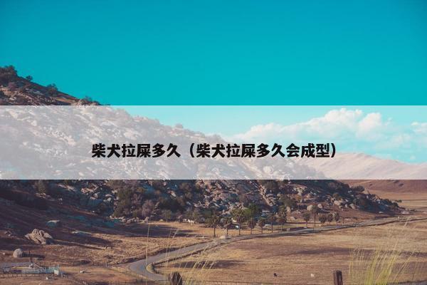 柴犬拉屎多久（柴犬拉屎多久会成型）